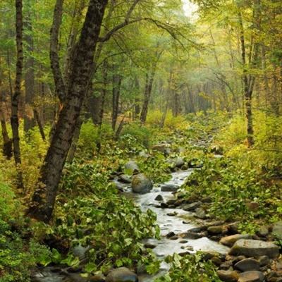 皇冠新体育APP下载手机版