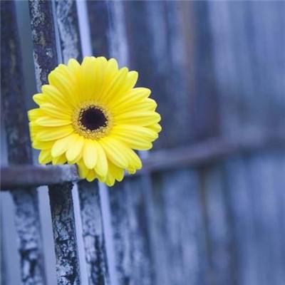 B体育登录APP下载