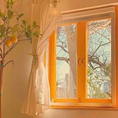 娱乐宝官网手机app下载