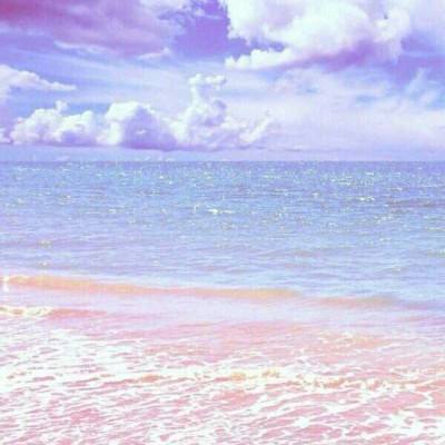 澳门正版资料大全下载手机版