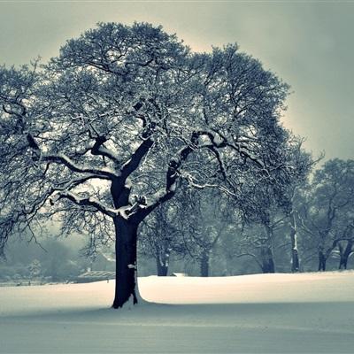 开博体育官方app下载