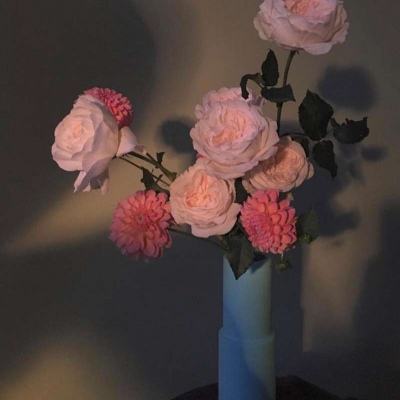 乐鱼彩票官网app下载