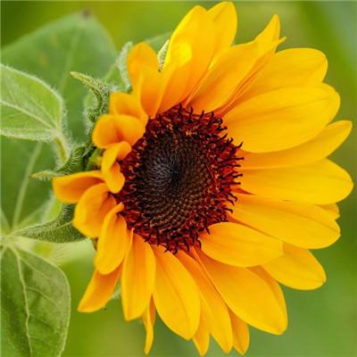 ky体育最新版下载地址