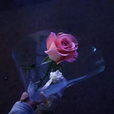 ag入口官网登录